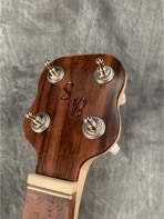 Sloan banjos Jo2Go peg head